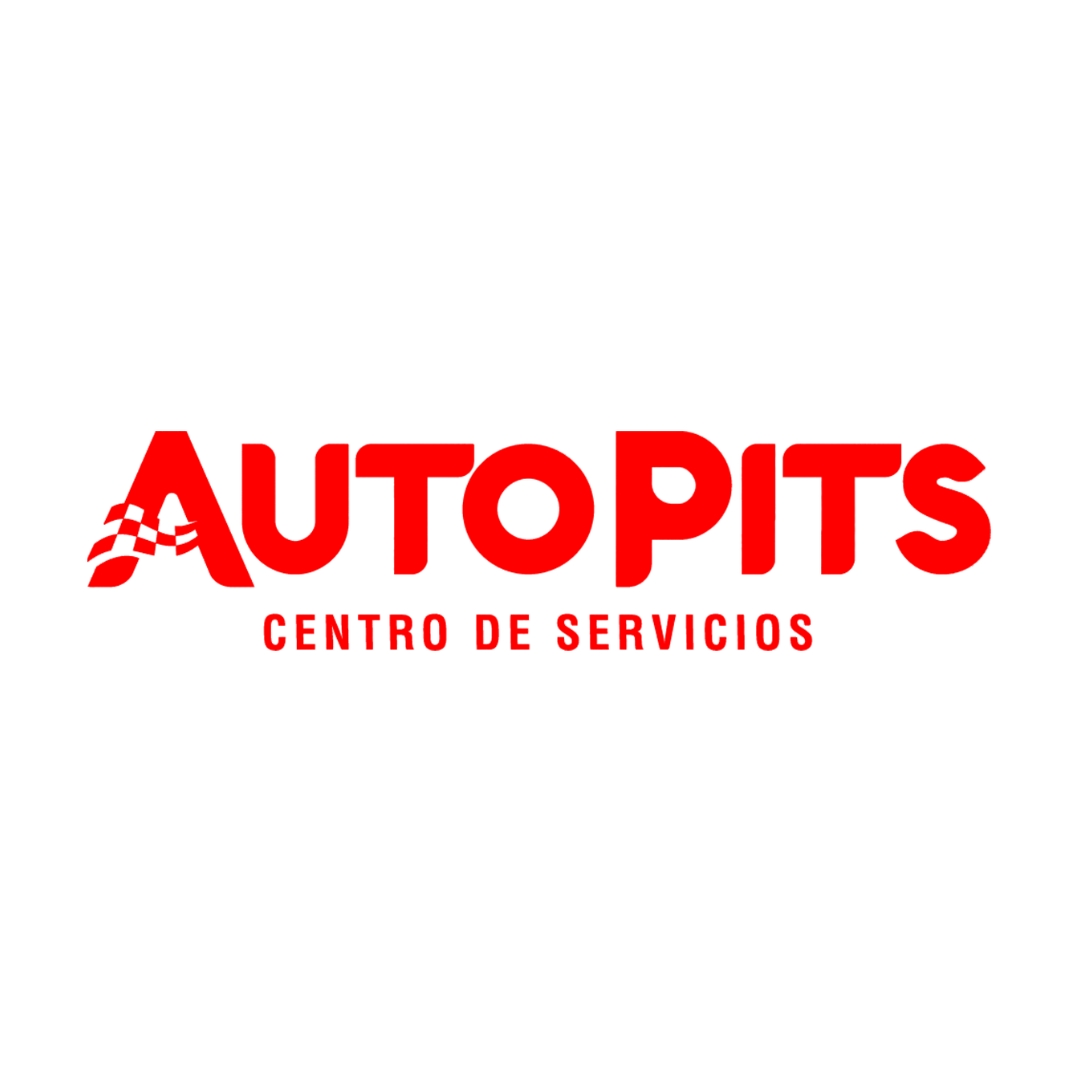 AUTO PITS