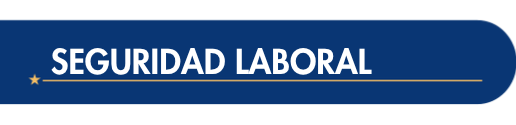 EUROPRO SEGURIDAD LABORAL EUROPRO SEGURIDAD LABORAL